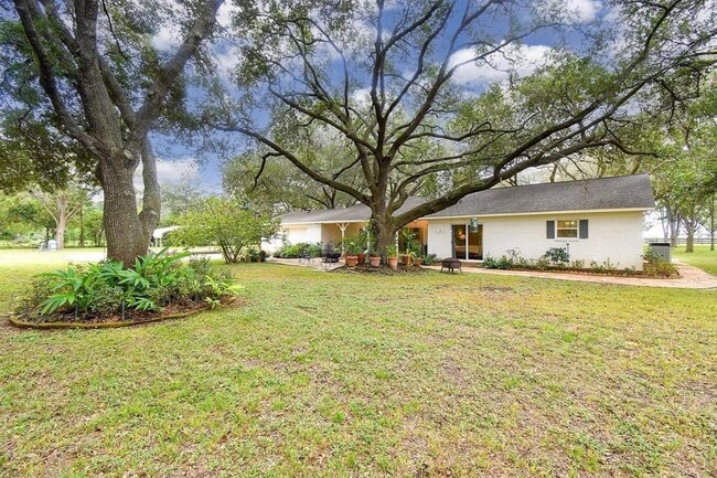 Building Photo - 34122 Pecan Hill Dr