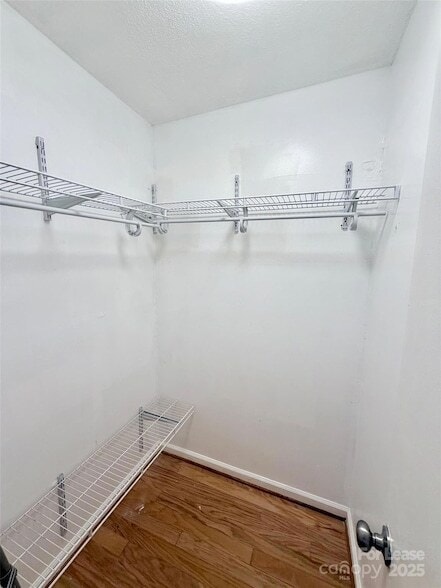 Building Photo - 115 Setter Ct
