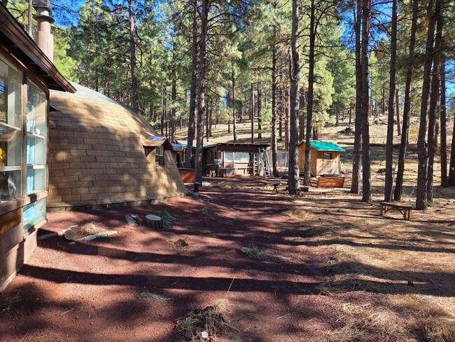 Building Photo - Unique Dome-Shaped Studio Surrounded by Ponderosa Pines