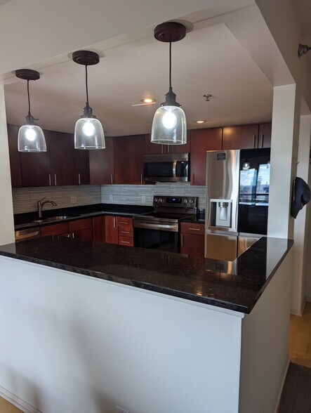 Kitchen with brand new LG dishwasher, stainless steel fridge and convectional oven - 110 1st Ave NE