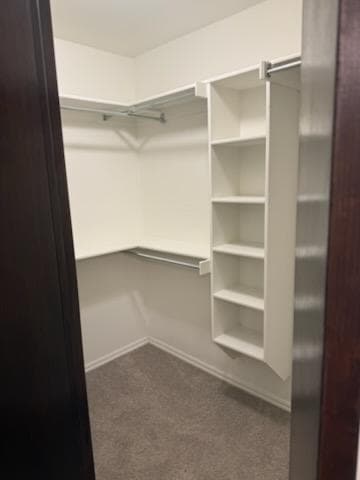 Building Photo - 313 N Shannon Way