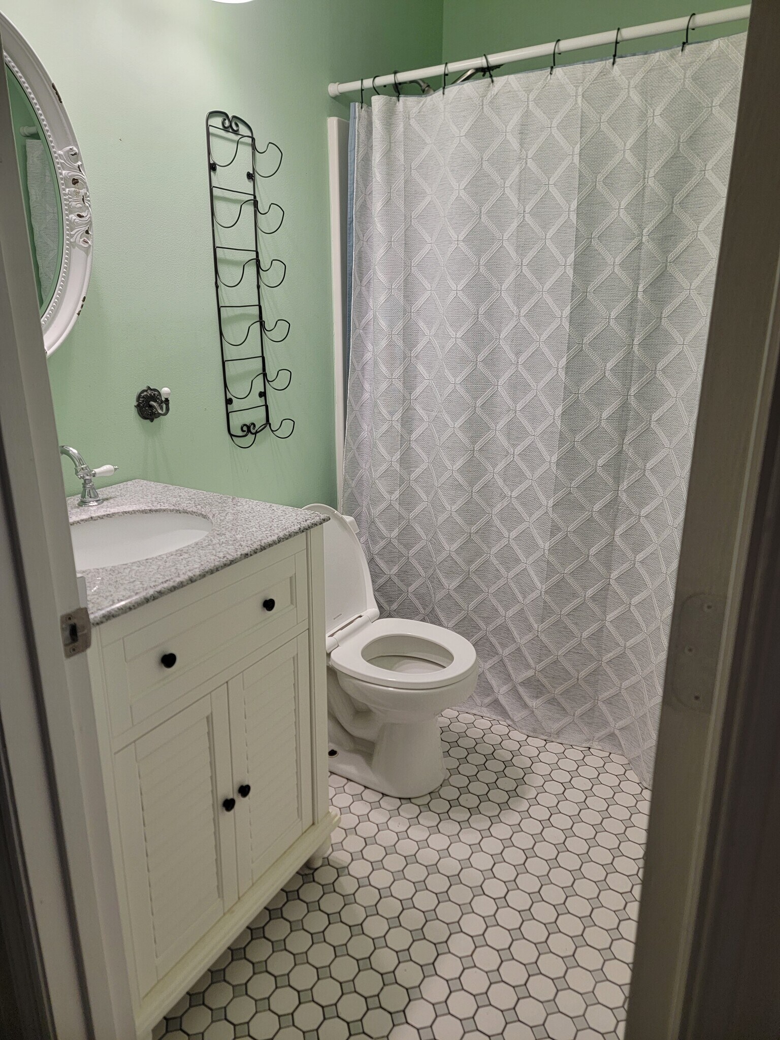 Hall bath - 137 Marsh Edge Ln