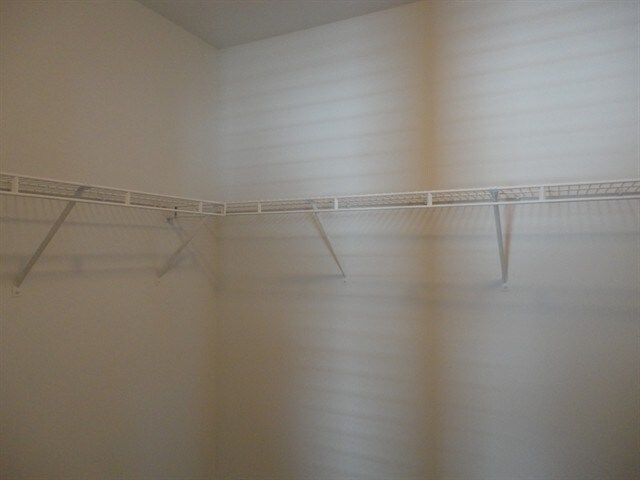 Building Photo - 454 Grape Vine Trl