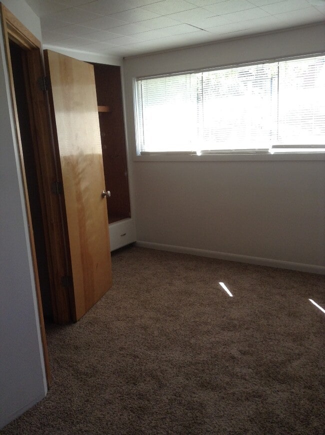 Building Photo - Beautiful 5 BR Campus Home w/Large Fenced Yard