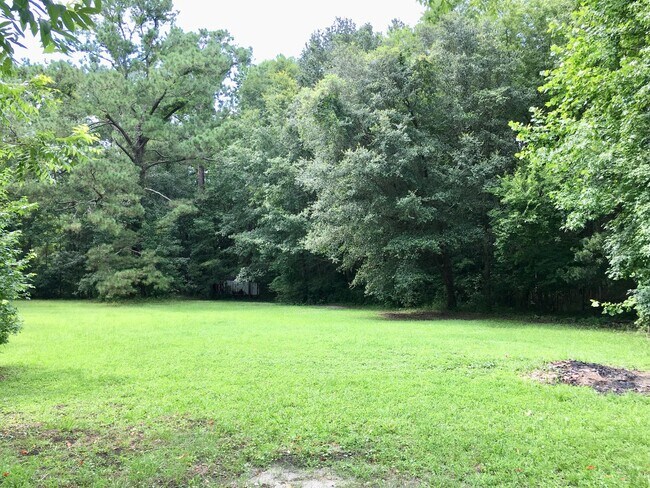 Building Photo - 3 Bedroom 2 Bath House in Summerville