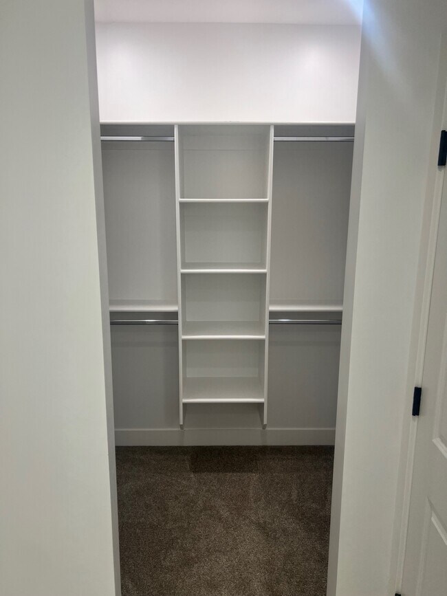 Building Photo - 1811 Livy Ln