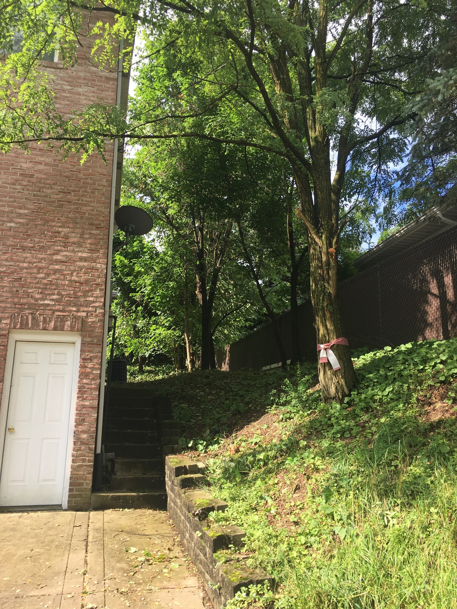 Side yard - 1008 Middletown Rd