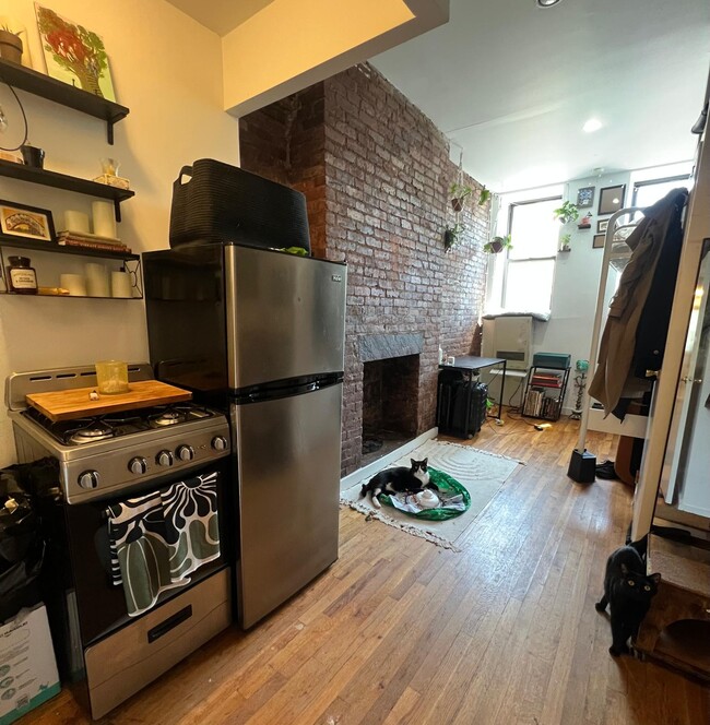 Interior Photo - 203 Chrystie Street