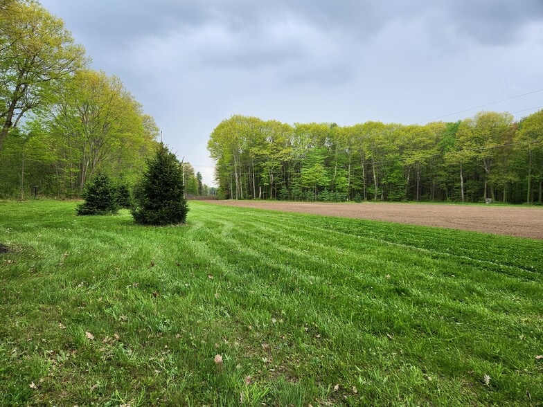 back field - 2198 Blakely Rd