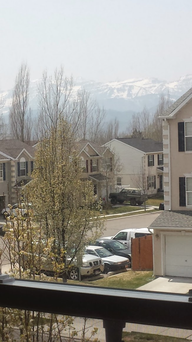 Building Photo - Newly Remodeled Heber Townhome