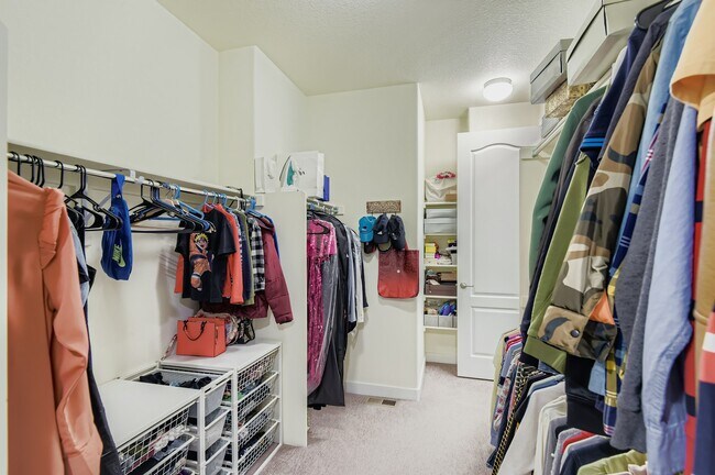 Building Photo - 14502 Salvador Cir