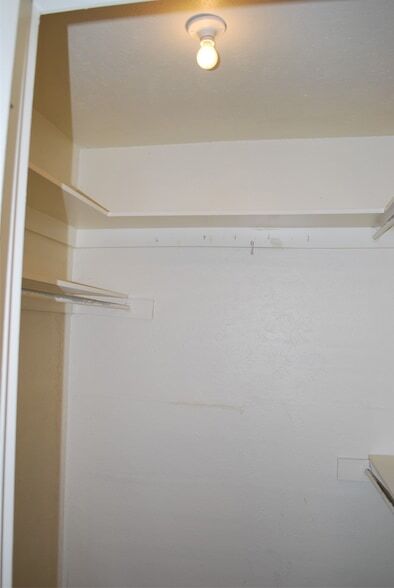 Building Photo - 1416 Sandy Creek Dr