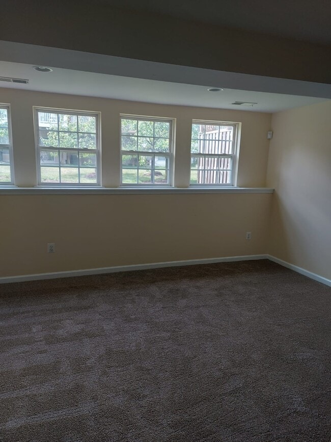 Basement - 7021 Holly Springs Ln