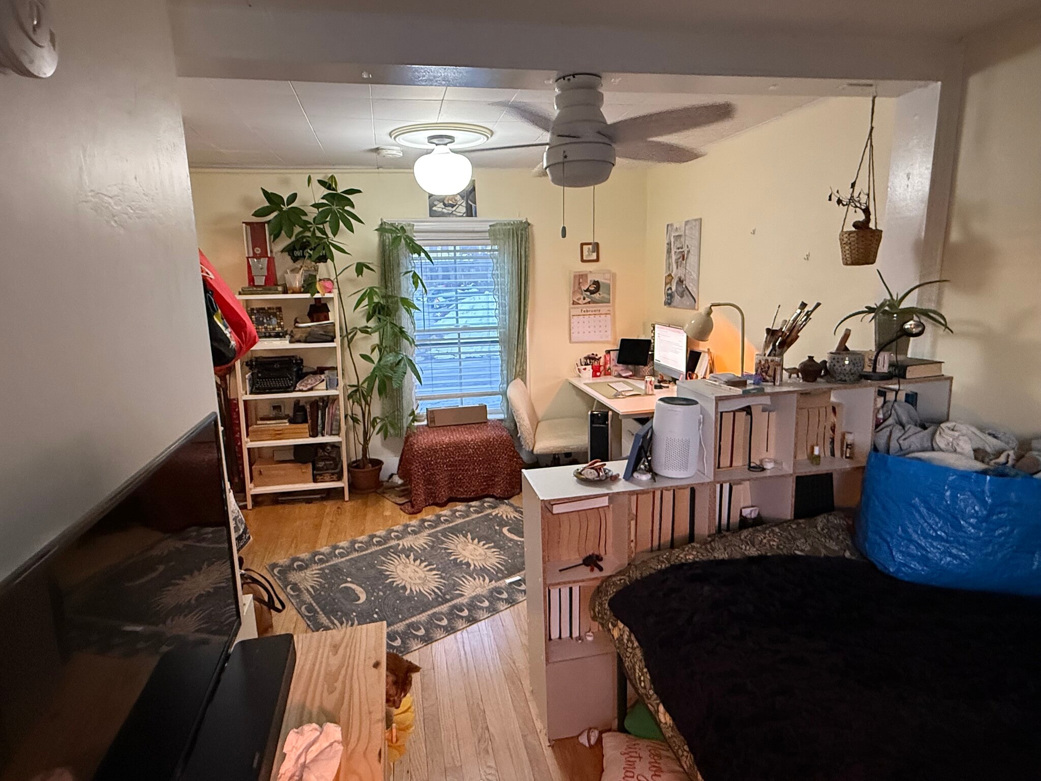 Building Photo - 219 Washington St