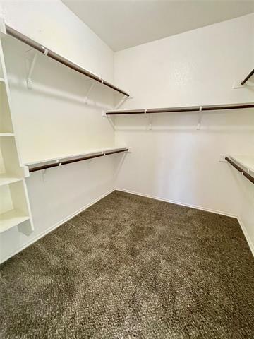 Building Photo - 507 Lipizzan Ln