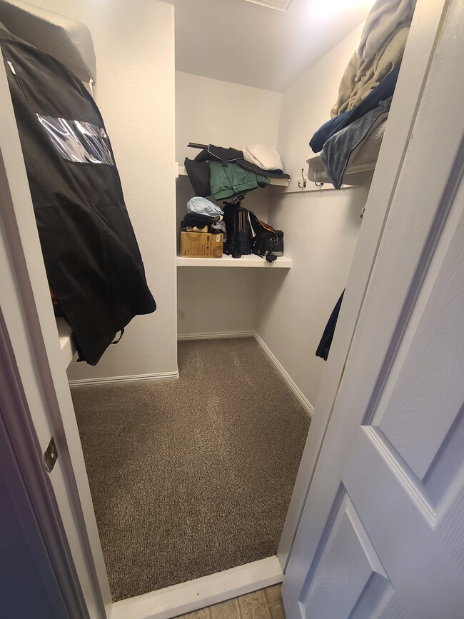 Building Photo - 4817 Straight Flush Dr