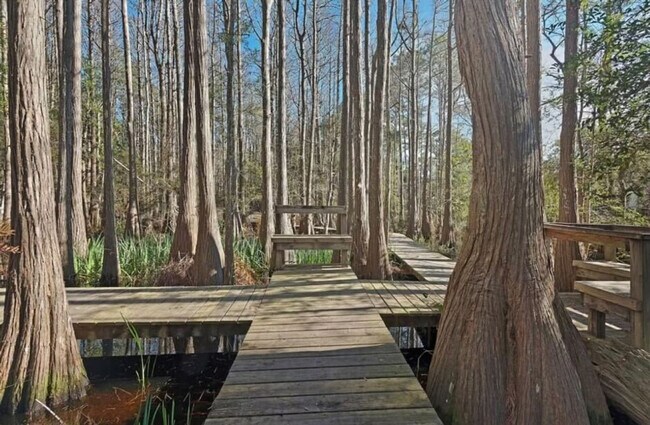 Building Photo - 285 Cassine Garden Cir