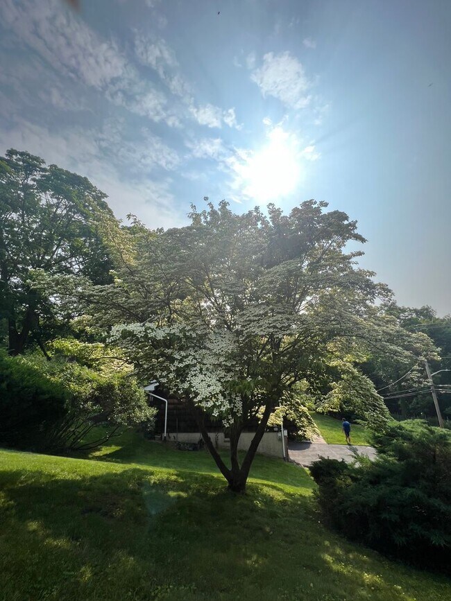 Building Photo - Spacious Well Maintained 3 Bedroom 2.5-Bat...