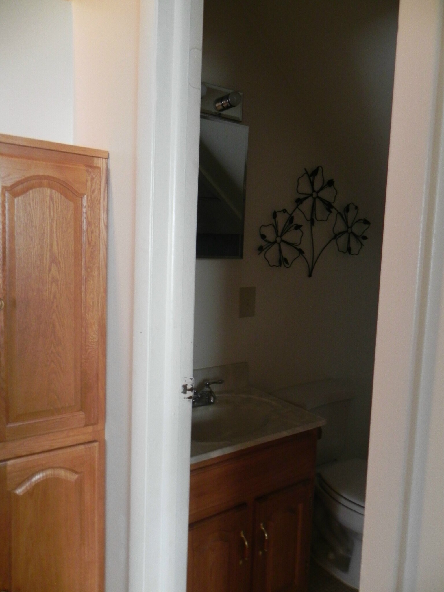 linen storage cabinet looking into the bathroom - 84 S Brooklyn Ave