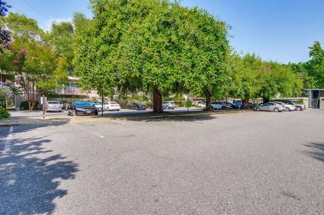 Building Photo - 280 Easy St