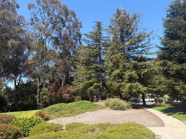 Building Photo - Capitola Knolls, Remodeled 3bd. 1.5ba two-level townhome