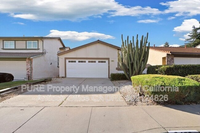 Building Photo - 2433 Sequoia Dr