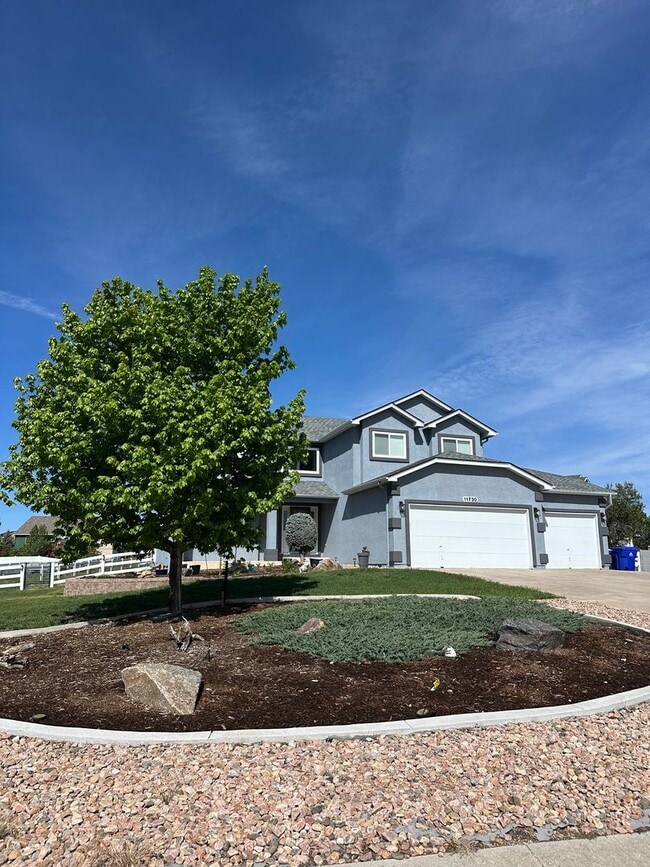 Building Photo - Stunning and HUGE 5BD/3.5BA in Paint Brush...