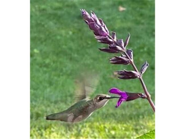 Building Photo - 139 Otis Avenue