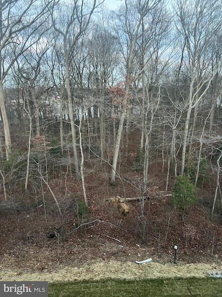 Building Photo - 304 Sweetbay Rd