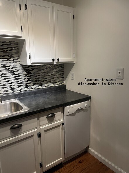 Apartment size dishwasher - 810 E Washington St