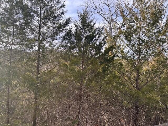 Building Photo - 216 Day Dr