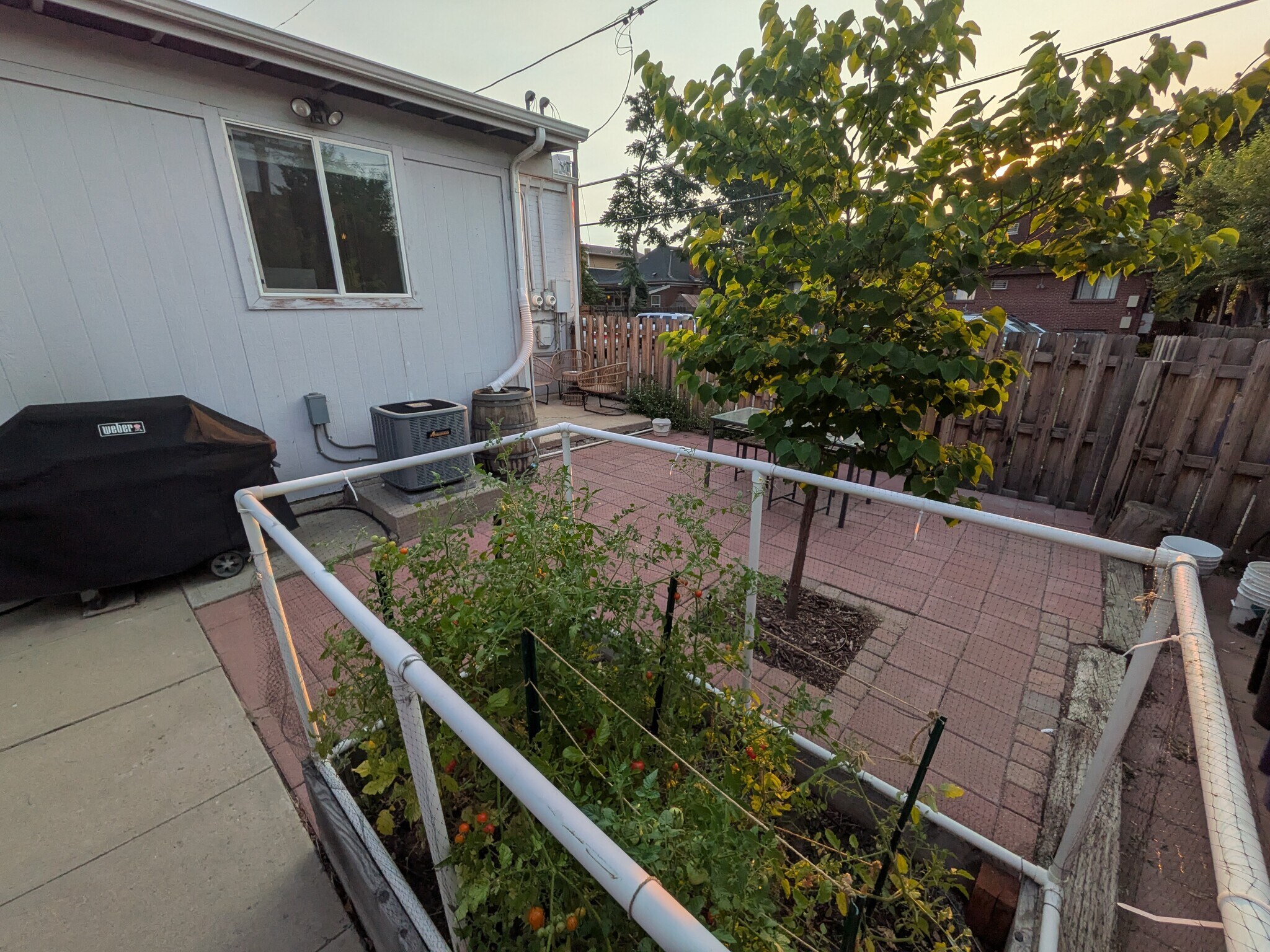 Backyard - 2622 W 25th Ave