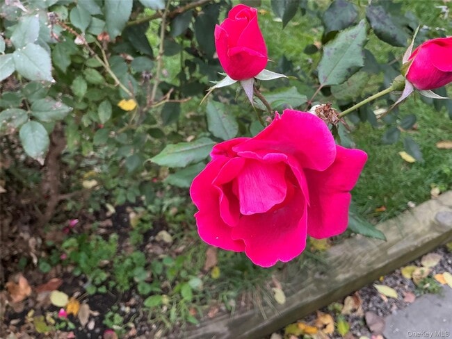 Building Photo - 66 Dodge St