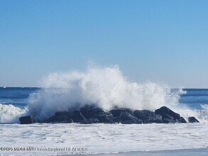 Building Photo - 260 Ocean Ave