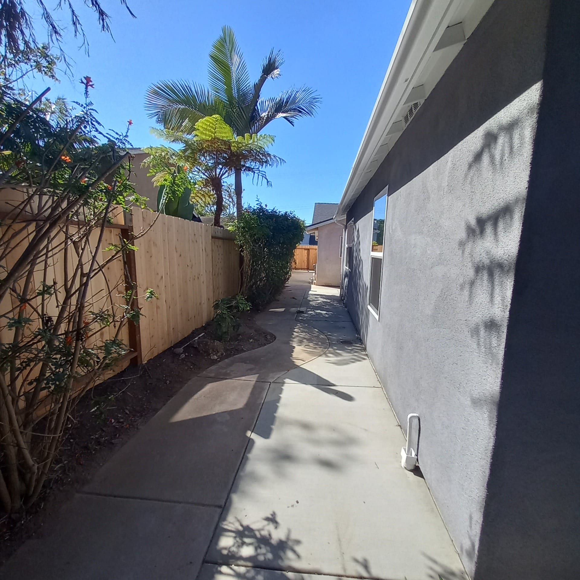 Side walkway to entrance of home - 3640 Catalina Dr