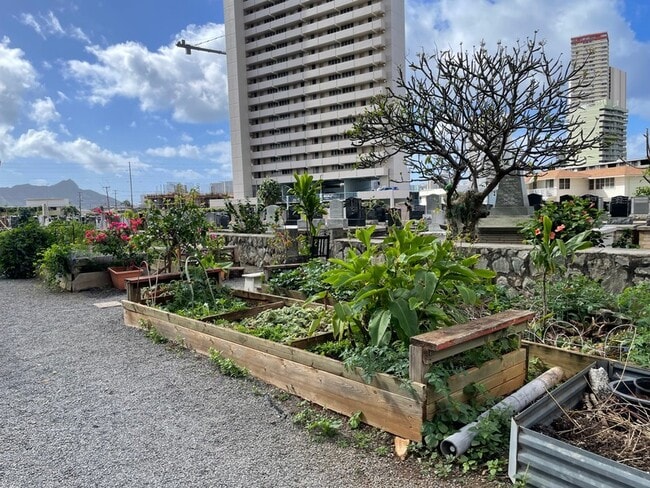 Building Photo - 2740 Kuilei St