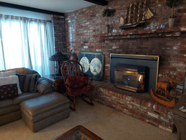 Building Photo - Large furnished 4 bedroom home with 2 car ...