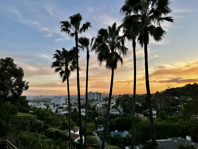 Primary Photo - 2005 N Sycamore Ave