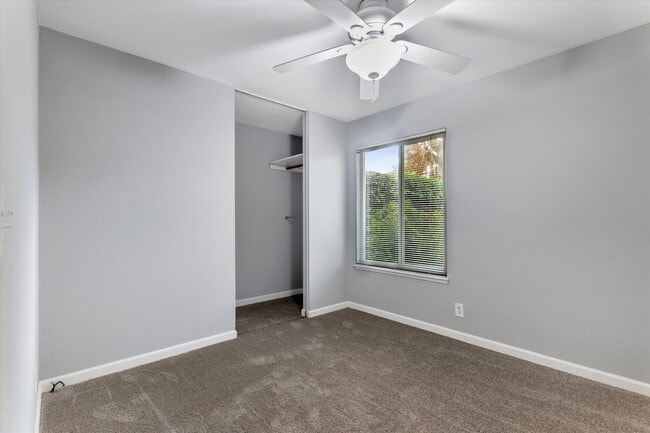 Building Photo - San Jose 4 Bedroom with Solar Power & Central A/C