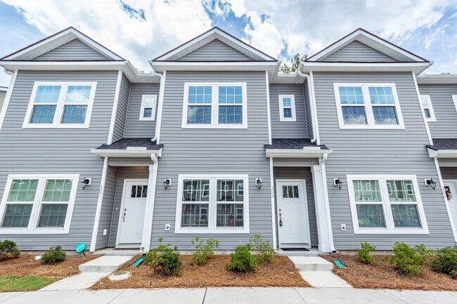 Building Photo - 3 Bedroom, 2.5 Bathroom Townhome in Twin Rivers - Wando