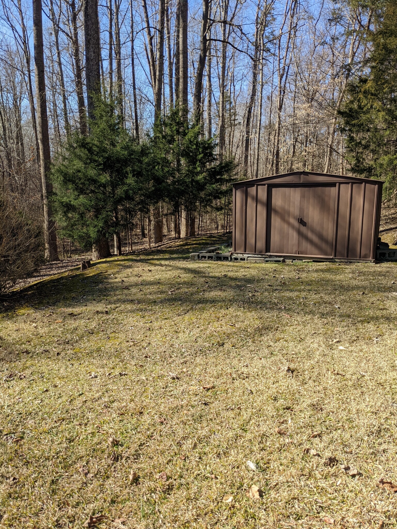 Building Photo - 12619 Wildlife Ln