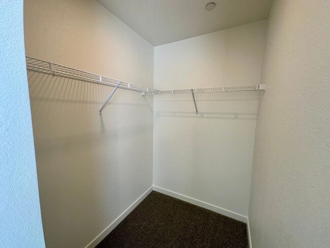 Building Photo - 3905 Congaree Wy