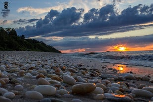 Building Photo - 30 Point Breeze Dr