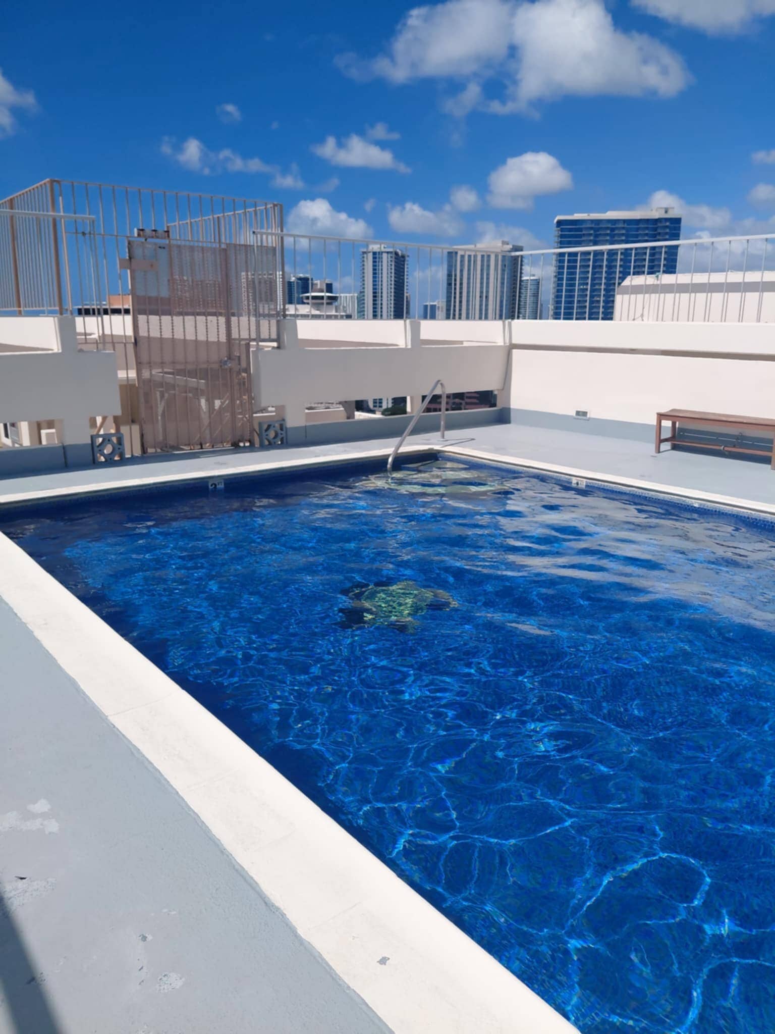 Rooftop Pool - 1655 Makaloa St