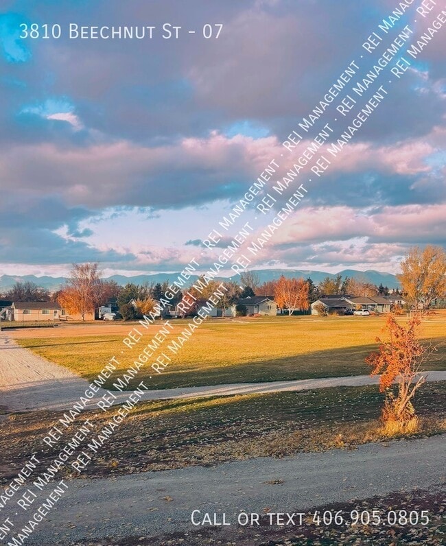 Building Photo - 3810 Beechnut St