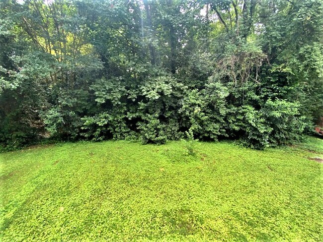 Building Photo - West Charlotte.  Renovated 2 Bedroom!