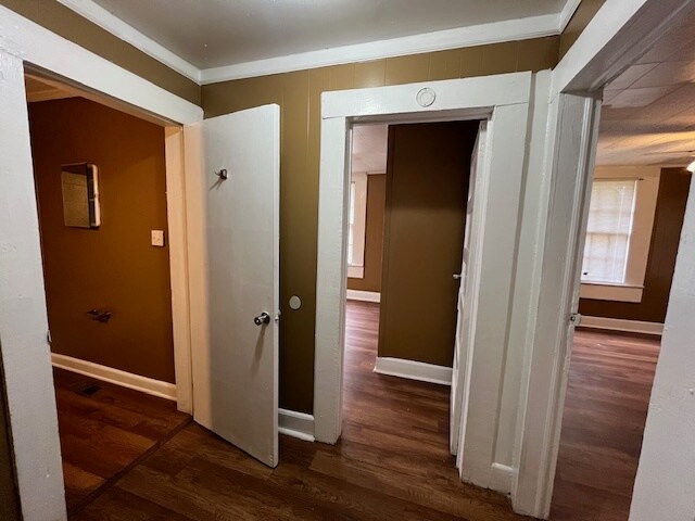 Building Photo - 3643 Flamingo Dr