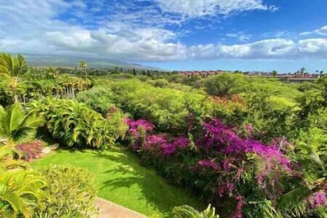 Building Photo - 2575 S Kihei Rd