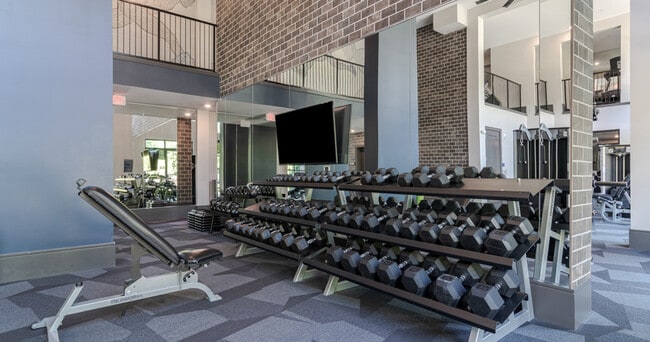 Building Photo - Adley City Springs