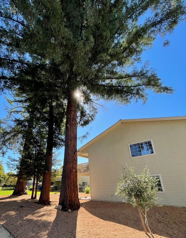 Building Photo - Downstairs 2 Bedroom 2 Bath Apartment with...